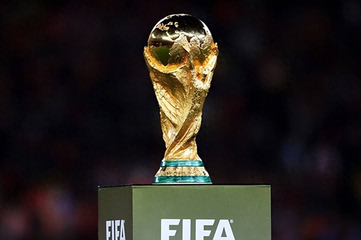 维基奇的 维基奇的