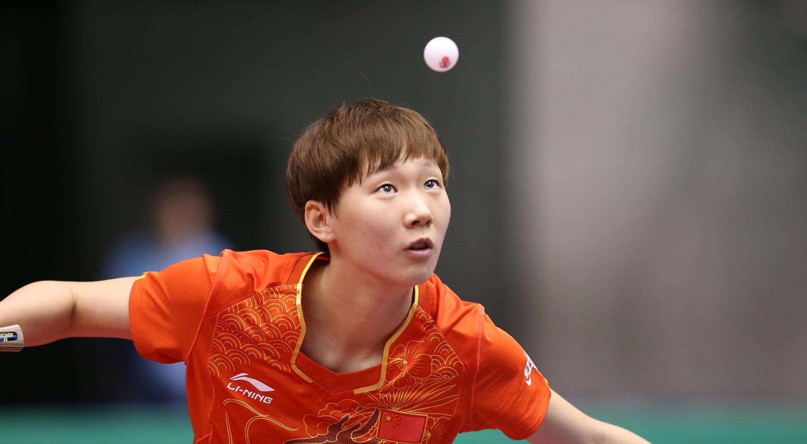 勇士收获了 勇士收获了